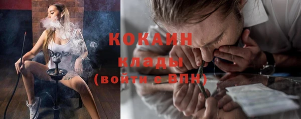 ПСИЛОЦИБИНОВЫЕ ГРИБЫ Осинники
