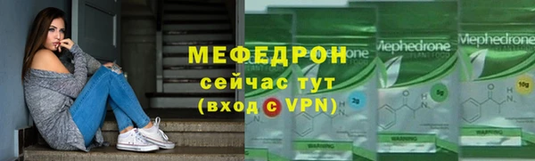 индика Осташков