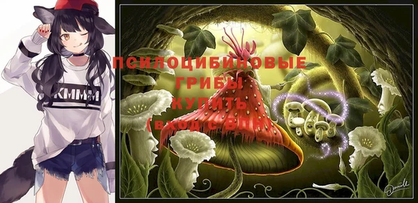 дживик Абаза