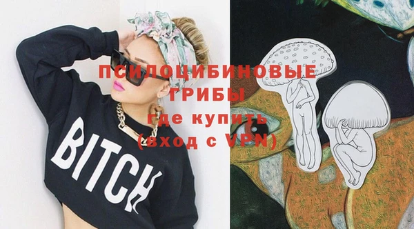 дживик Абаза