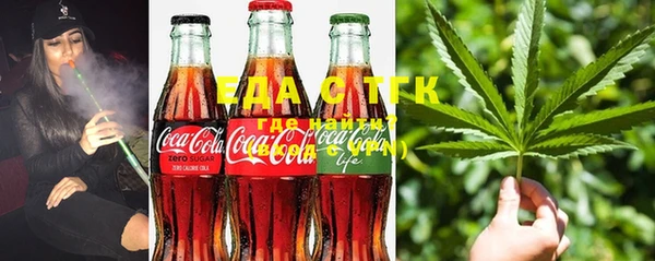 индика Осташков